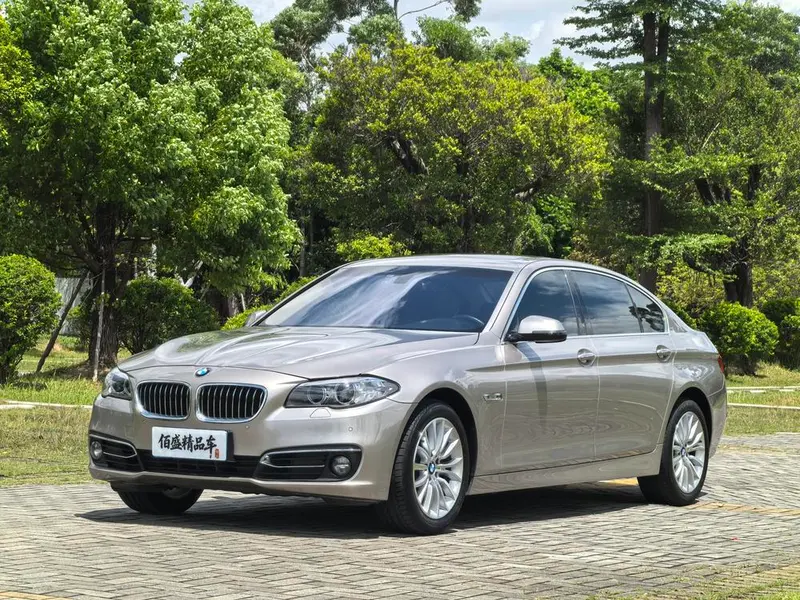 BMW 5-Series, 2014