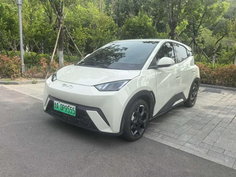 BYD Seagull, 2025