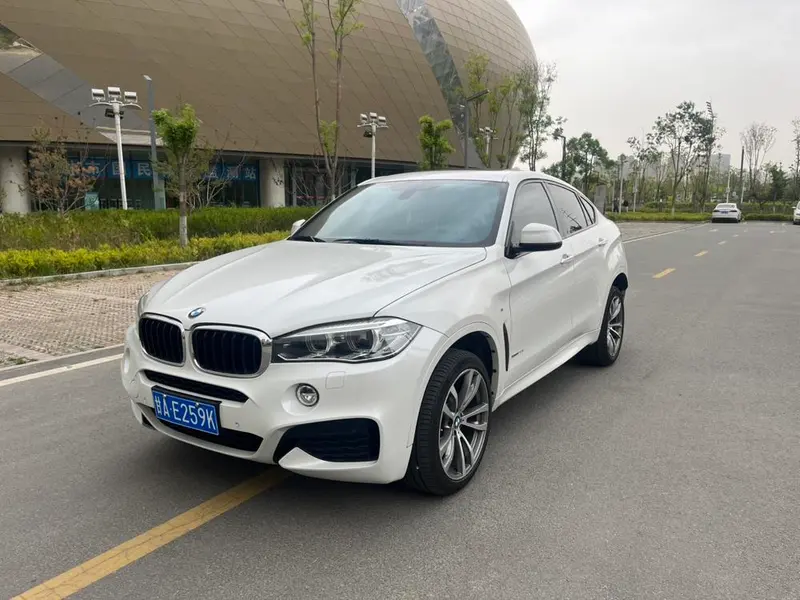 BMW X6, 2019