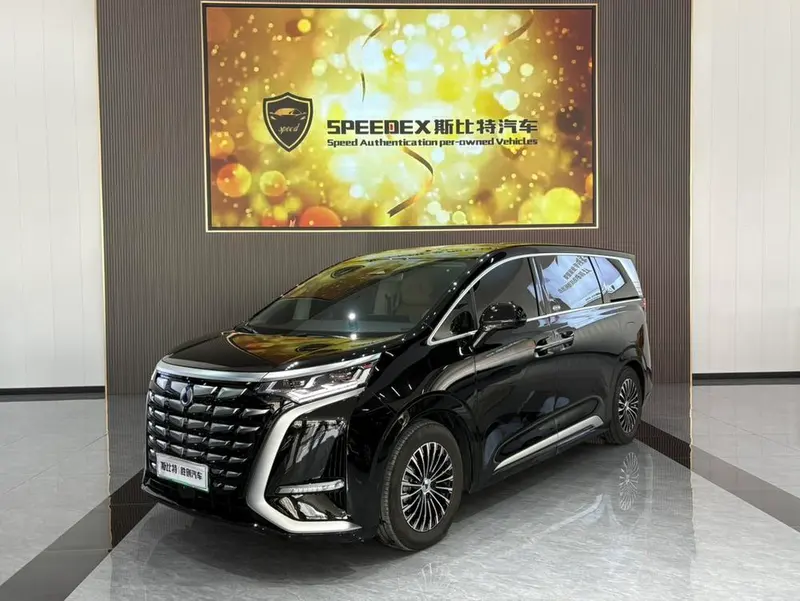 Denza D9 DM, 2024