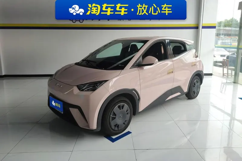 BYD Seagull, 2024