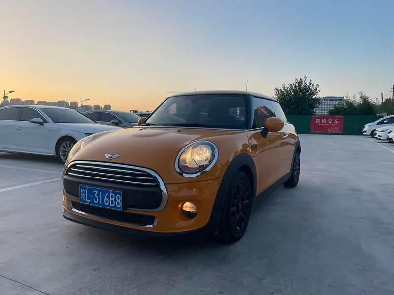 MINI MINI, 2018