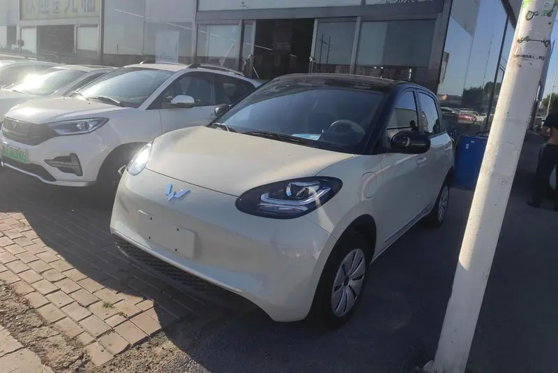 Wuling Bingo, 2024
