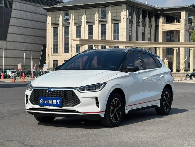 BYD e2, 2021