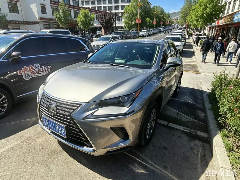 Lexus NX, 2020