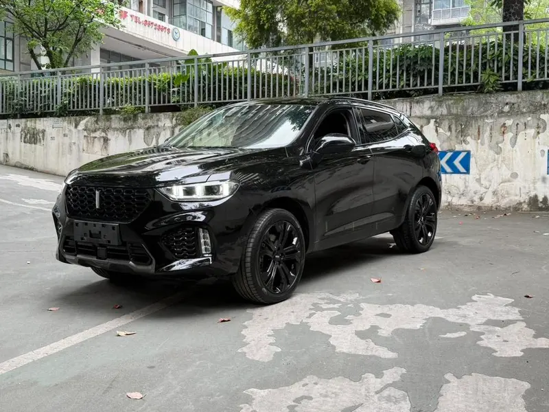 Wey VV5, 2017