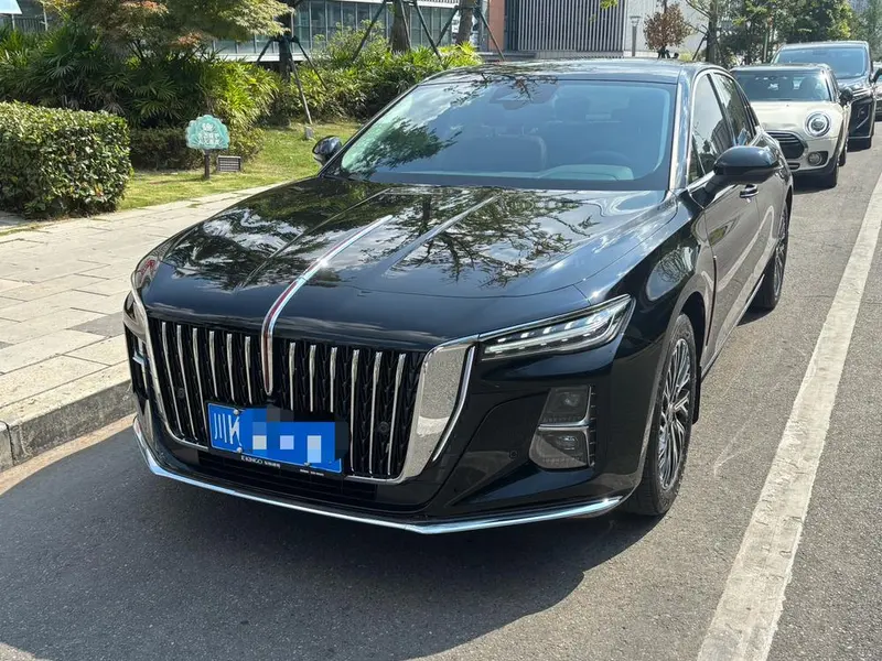 Hongqi H5, 2025