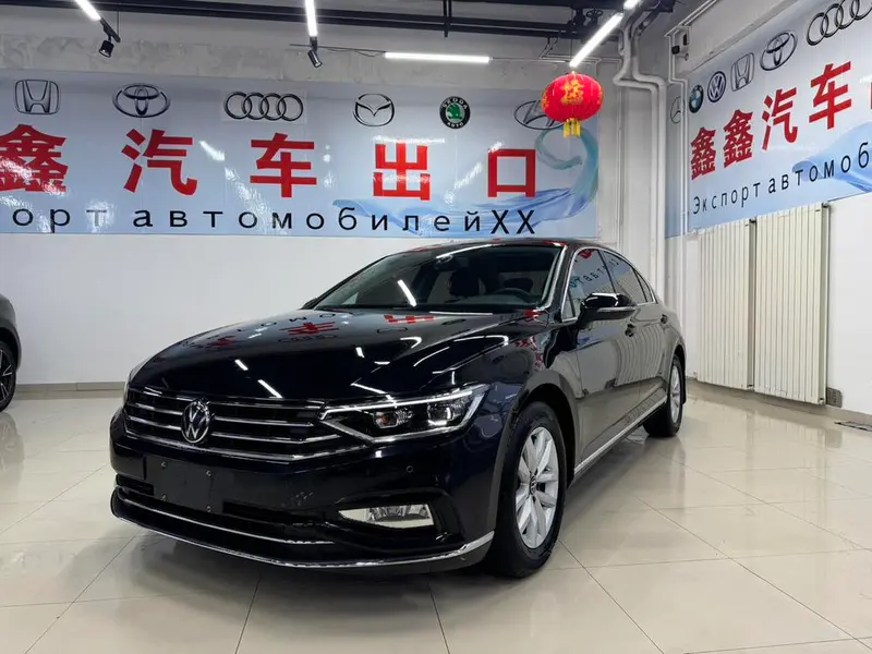 Volkswagen Magotan, 2020