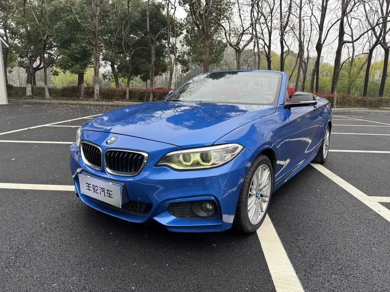 BMW 2-Series (Import), 2015