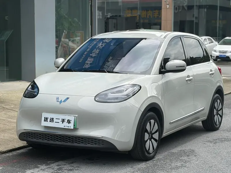 Wuling Bingo, 2023