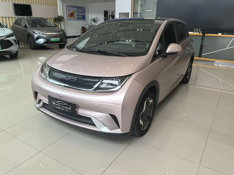BYD Dolphin, 2021
