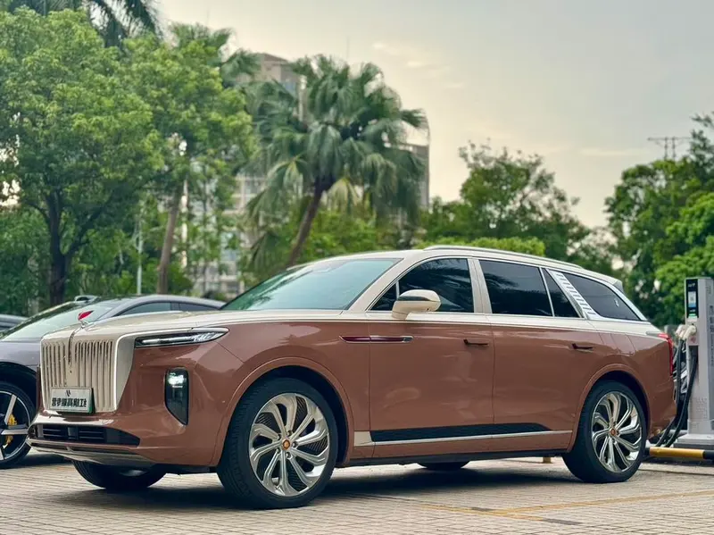 Hongqi E-HS9, 2020