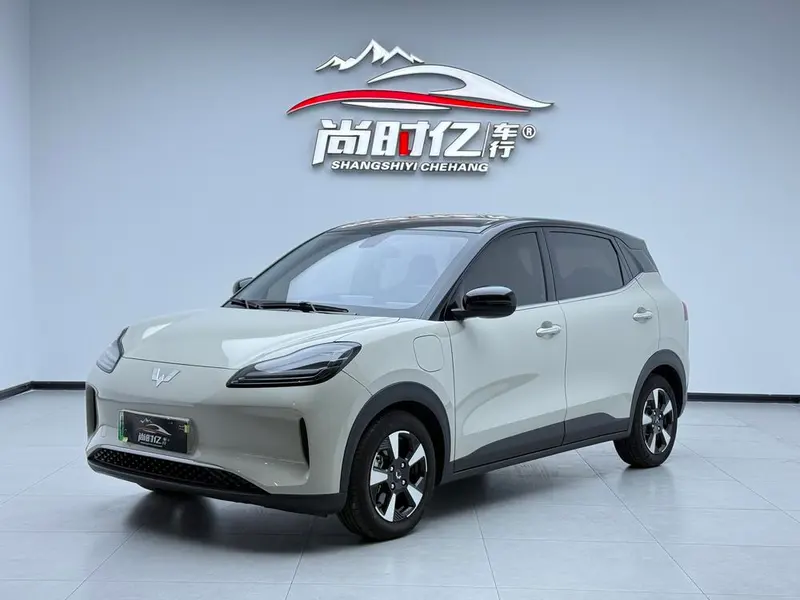 Wuling Bingo PLUS, 2024