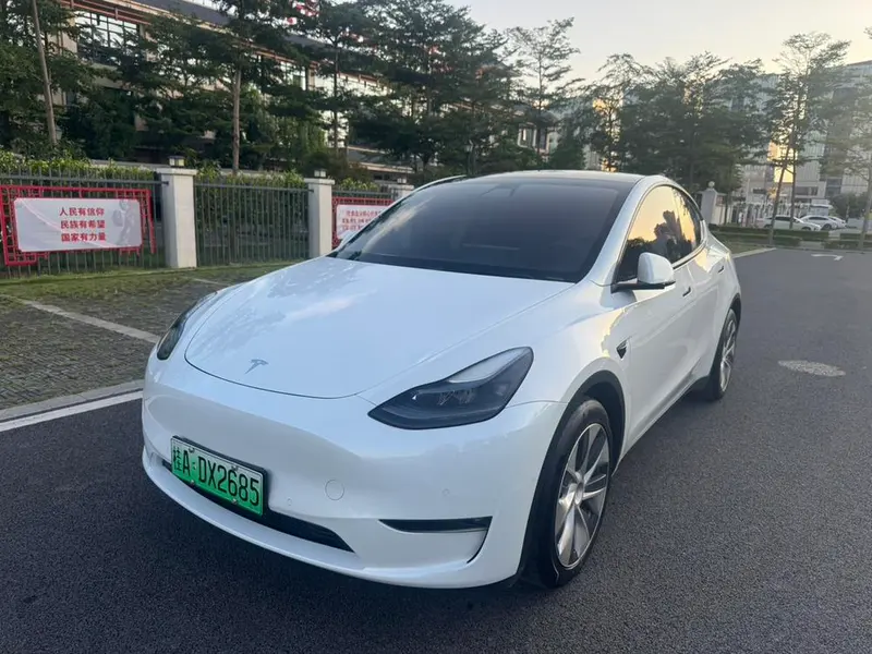 Tesla Model Y, 2021