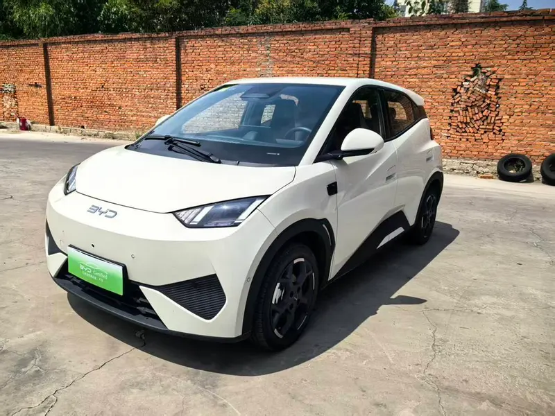 BYD Seagull, 2025