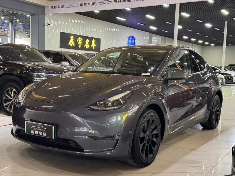 Tesla Model Y, 2021