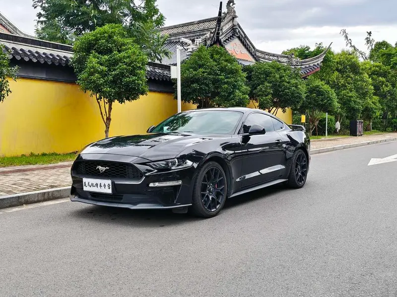 Ford Mustang, 2019