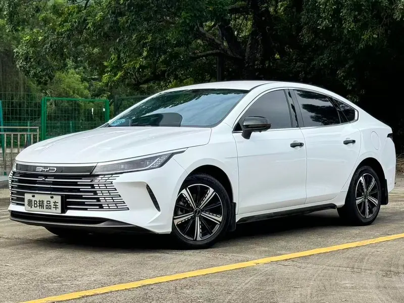 BYD Destroyer 05, 2024