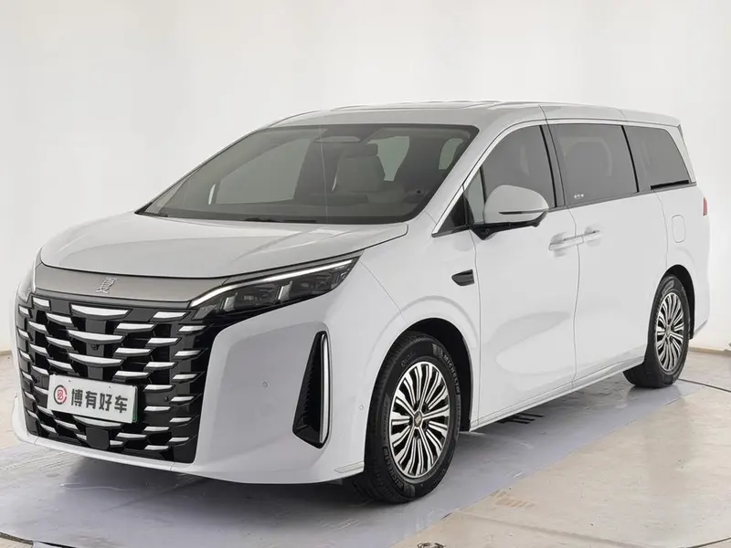BYD Xia, 2025