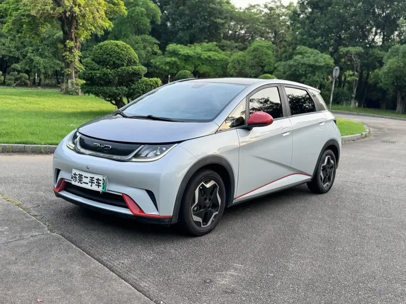 BYD Dolphin, 2021