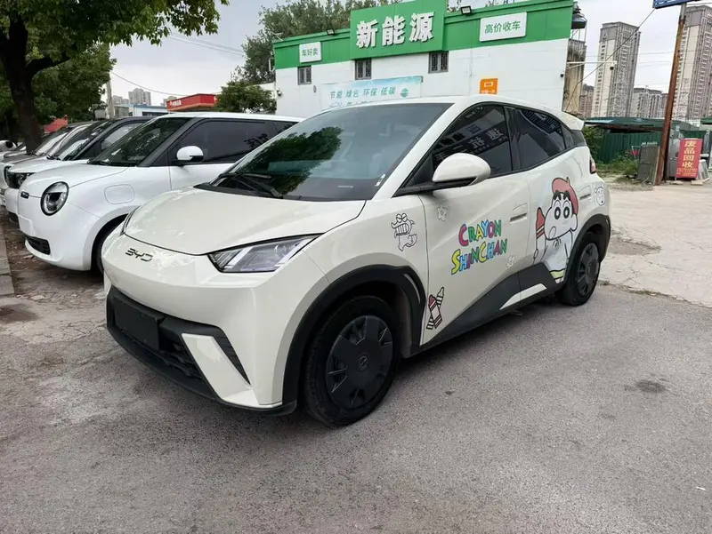 BYD Seagull, 2024