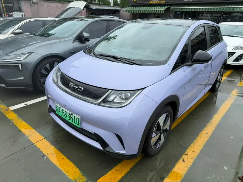 BYD Dolphin, 2023