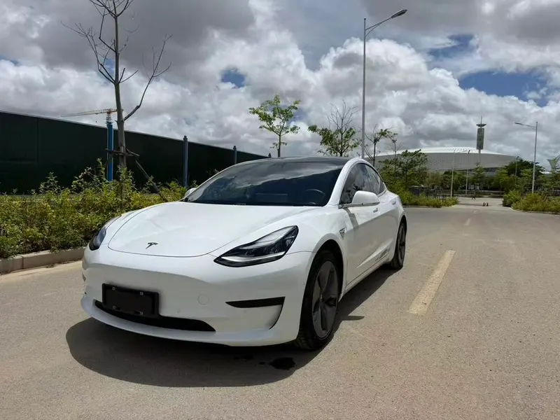 Tesla Model 3, 2020