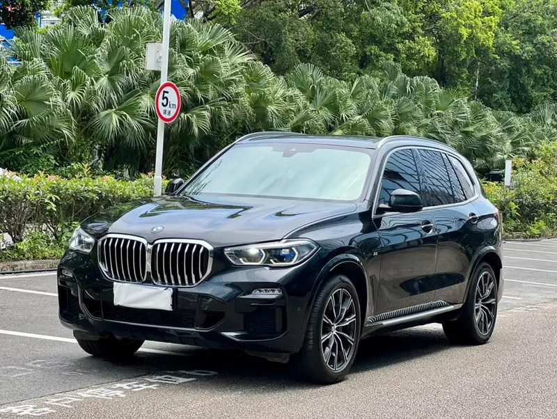 BMW X5 (Import), 2019