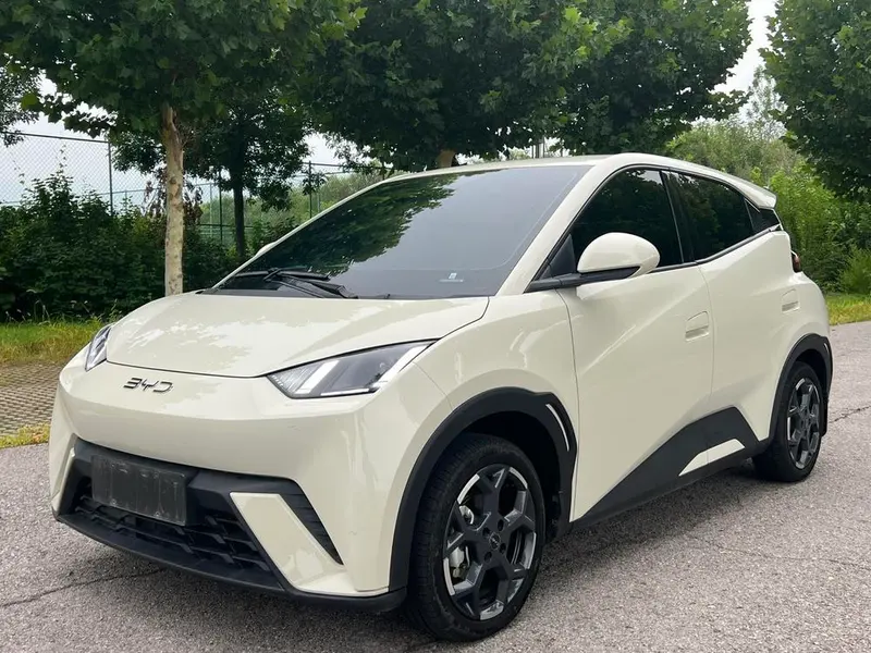 BYD Seagull, 2024