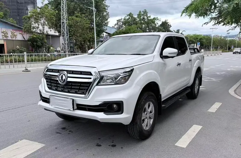 Dongfeng Rich 6, 2021