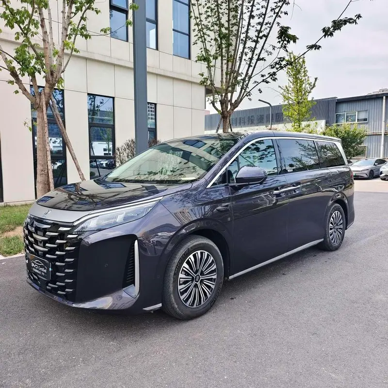 BYD Xia, 2025