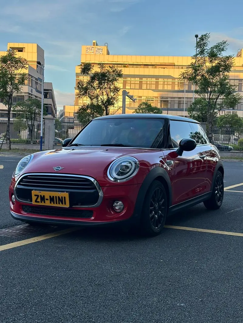 MINI MINI, 2018