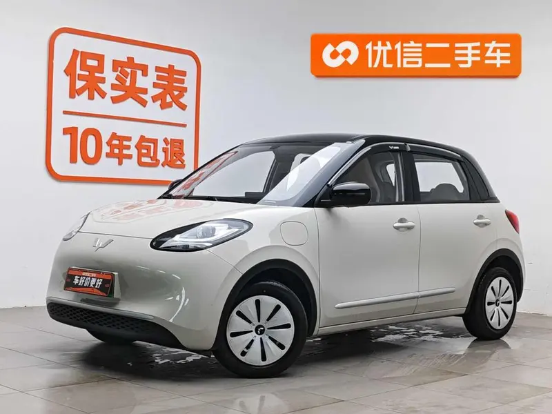 Wuling Bingo, 2024