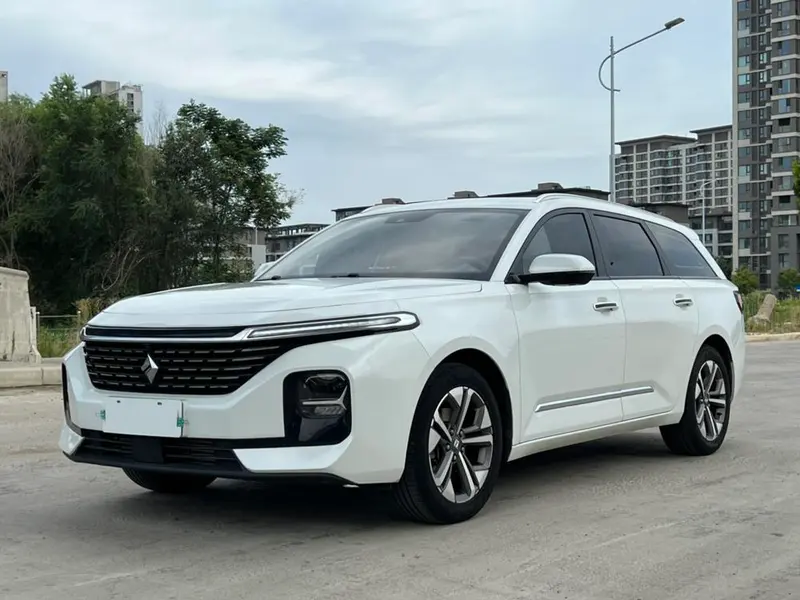 Baojun Valli, 2021