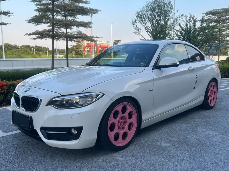 BMW 2-Series (Import), 2014