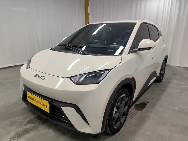 BYD Seagull, 2025