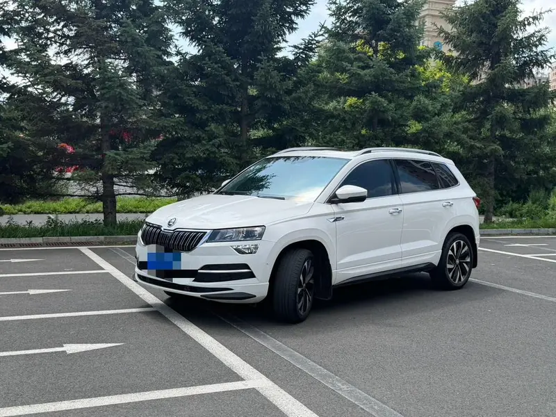 Skoda Karoq, 2022