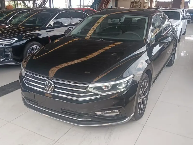 Volkswagen Magotan, 2020