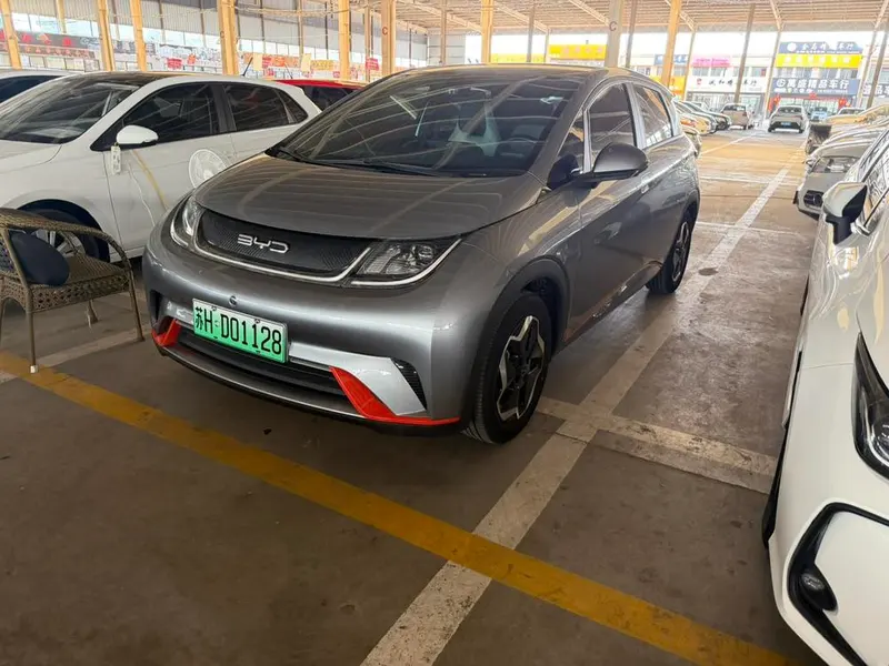 BYD Dolphin, 2021