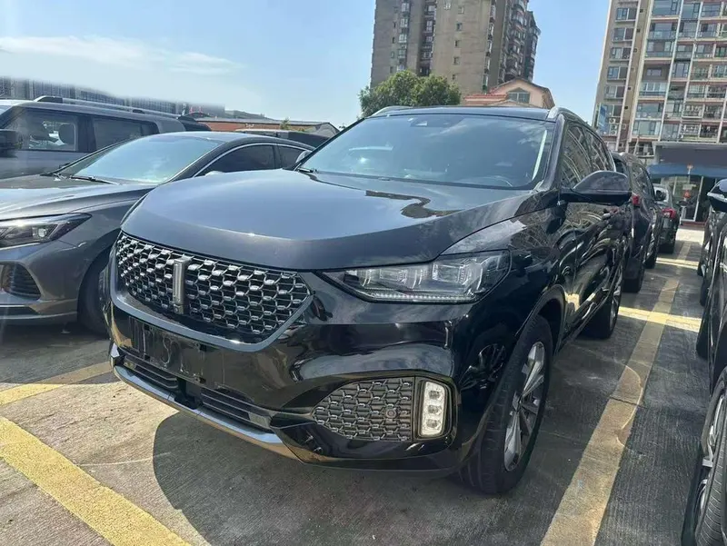Wey VV6, 2020