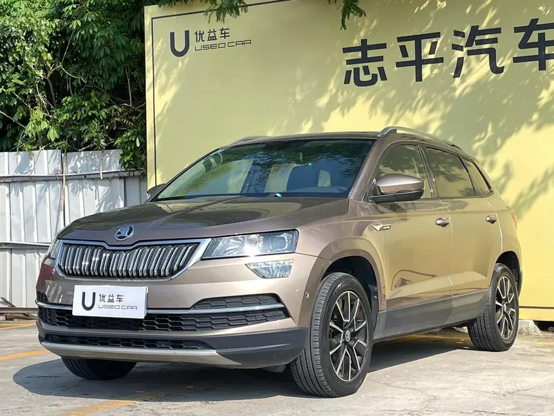 Skoda Karoq, 2019