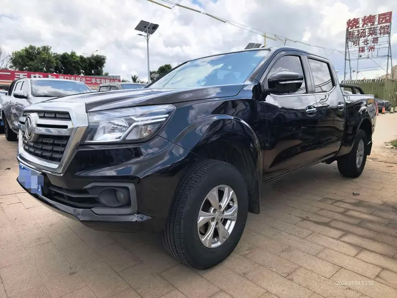 Dongfeng Rich 6, 2021