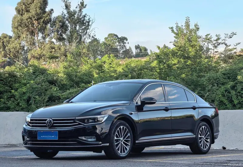 Volkswagen Magotan, 2020