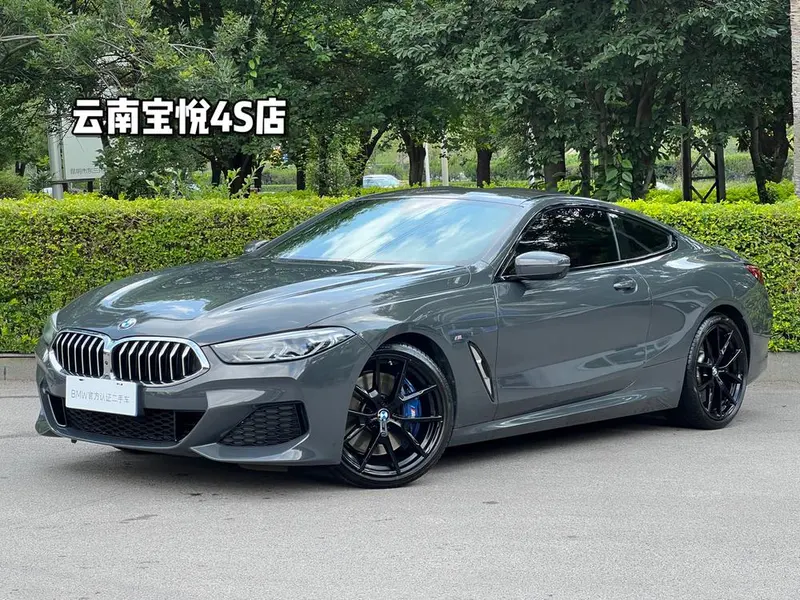 BMW 8-Series, 2019