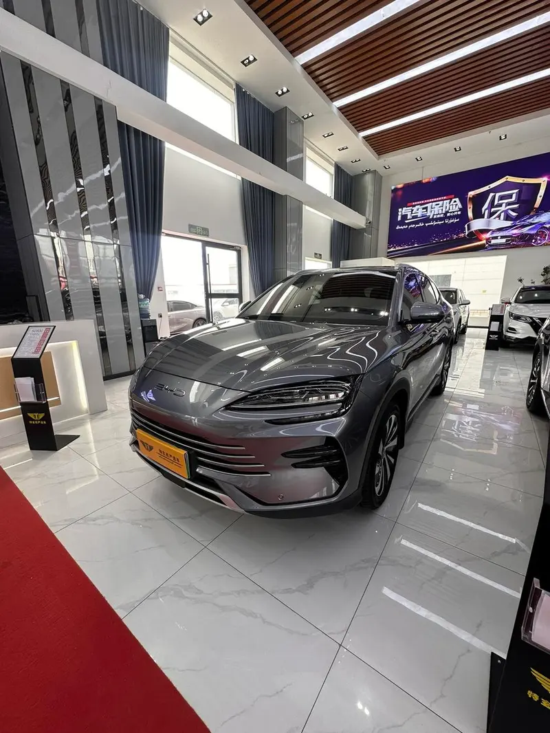 BYD Song PLUS DM, 2024
