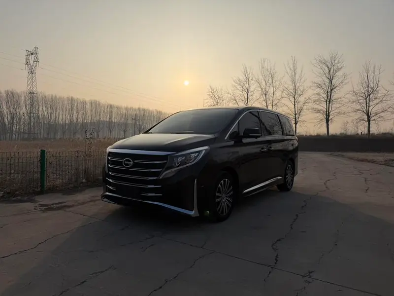 GAC Trumpchi Trumpchi M8, 2021