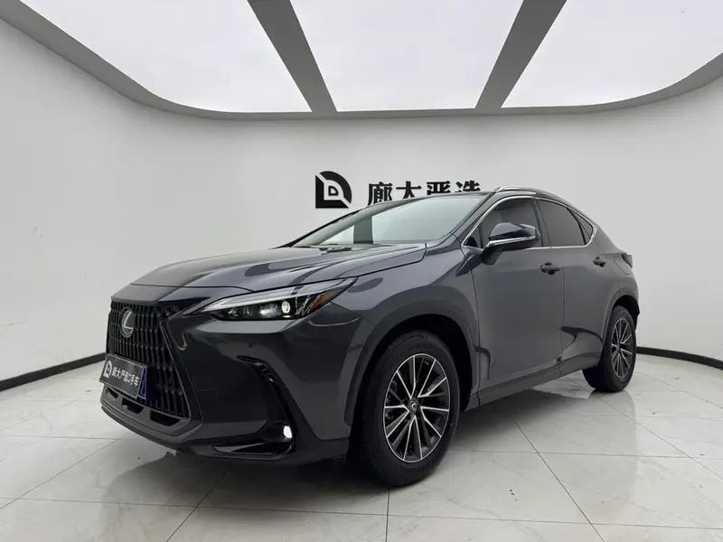 Lexus NX, 2022