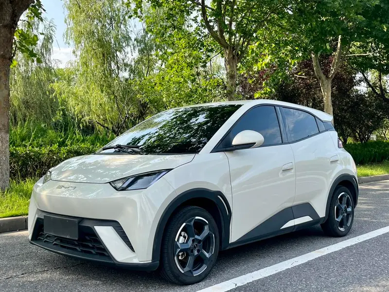 BYD Seagull, 2023