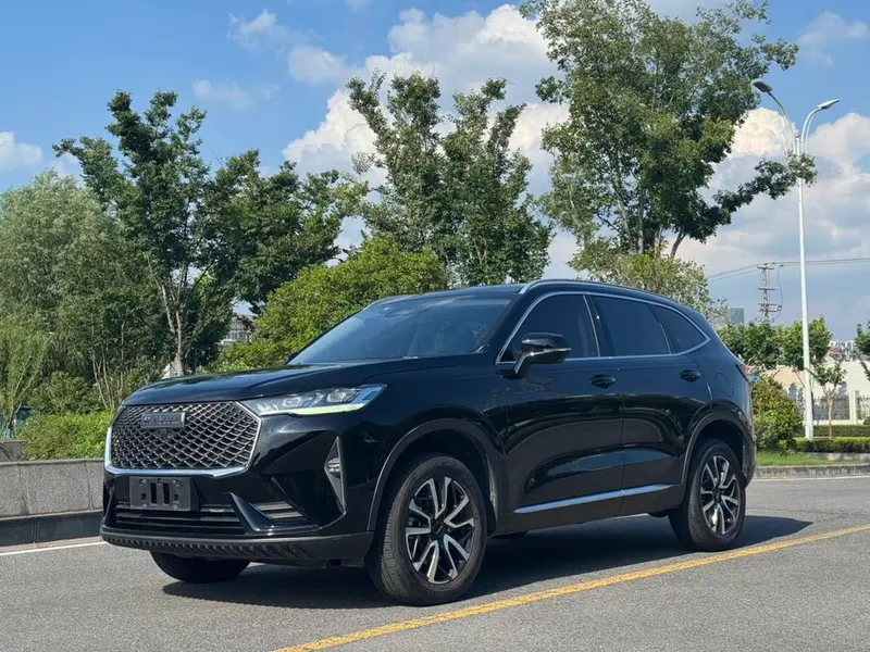 Haval H6, 2022