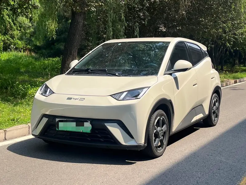BYD Seagull, 2024